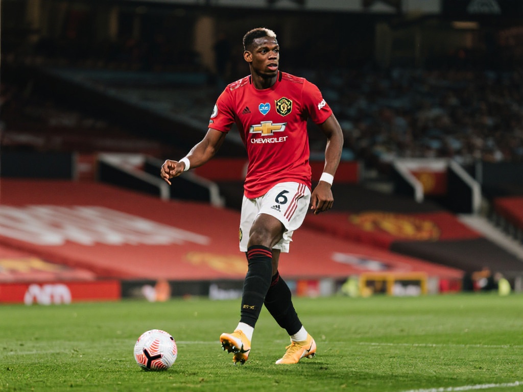 了惊人的进 了惊人的进