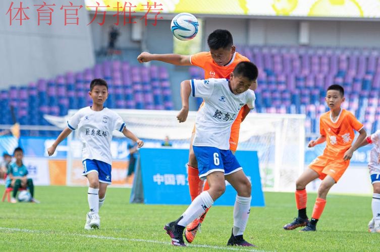 中国足协主席总结2024年足球工作 中国足协主席总结2024年足球工作